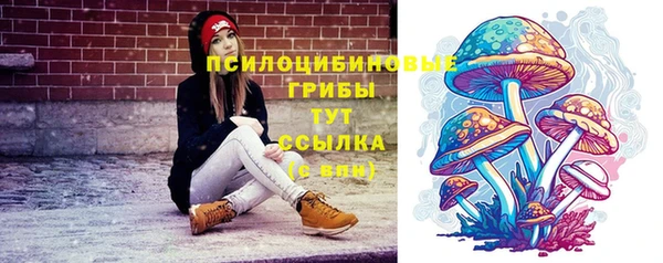 ПСИЛОЦИБИНОВЫЕ ГРИБЫ Алексеевка