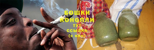 ПСИЛОЦИБИНОВЫЕ ГРИБЫ Алексеевка