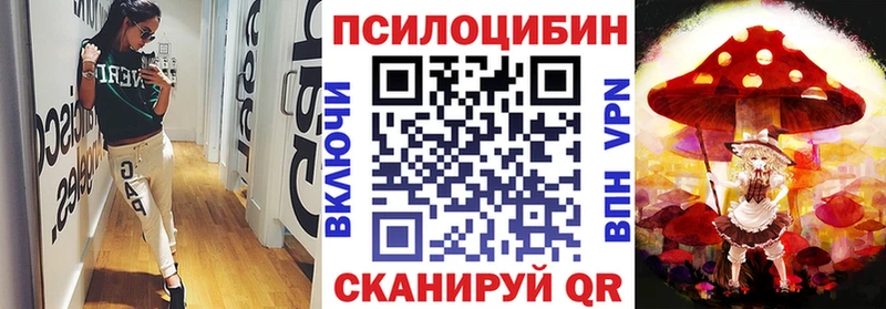 Псилоцибиновые грибы Cubensis  Камышин 
