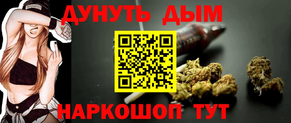 Конопля гибрид Камышин