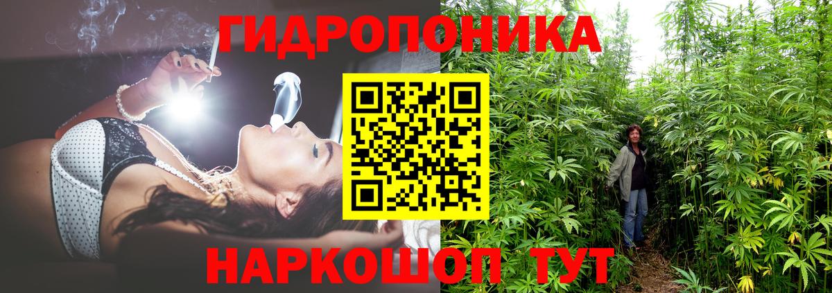 Каннабис ГИДРОПОН  Бошки марихуана план  Бошки Шишки конопля  Вход с VPN  Камышин 